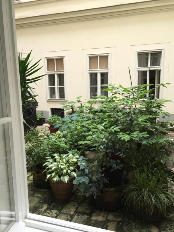 City Apartment 维也纳 外观 照片